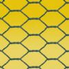 Hexagonal Wire Netting